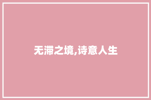 无滞之境,诗意人生