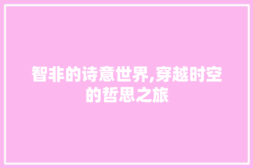 智非的诗意世界,穿越时空的哲思之旅
