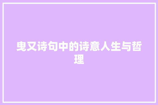 曳又诗句中的诗意人生与哲理