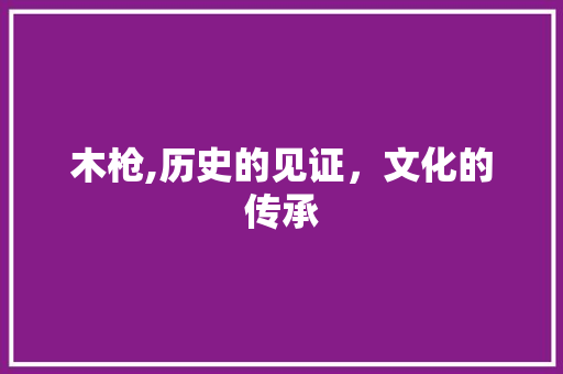 木枪,历史的见证，文化的传承