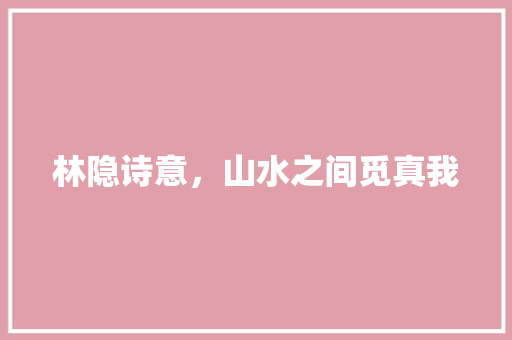 林隐诗意，山水之间觅真我