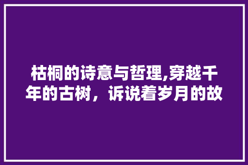 枯桐的诗意与哲理,穿越千年的古树，诉说着岁月的故事