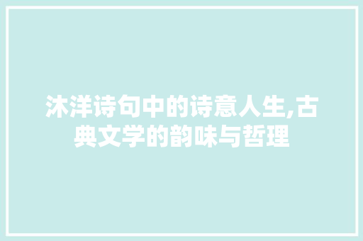 沐洋诗句中的诗意人生,古典文学的韵味与哲理 工作总结