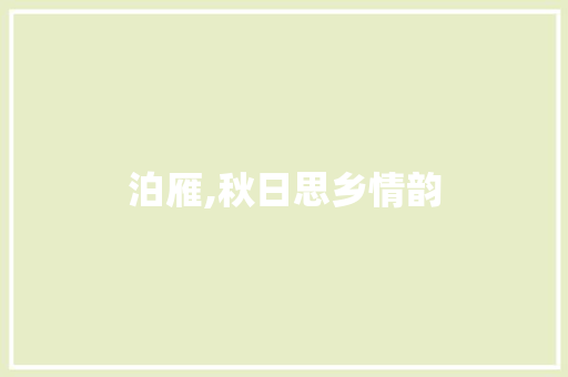 泊雁,秋日思乡情韵