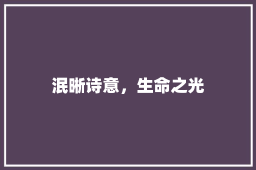 泯晰诗意，生命之光