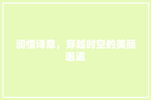 润惜诗意，穿越时空的美丽邂逅