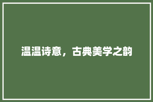 温温诗意，古典美学之韵