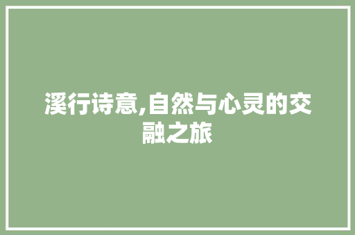 溪行诗意,自然与心灵的交融之旅