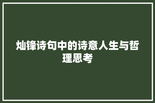 灿锋诗句中的诗意人生与哲理思考
