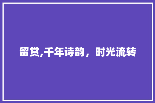 留赏,千年诗韵，时光流转