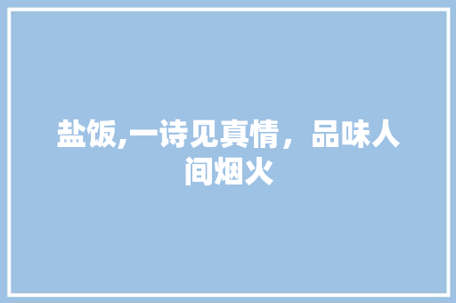 盐饭,一诗见真情，品味人间烟火