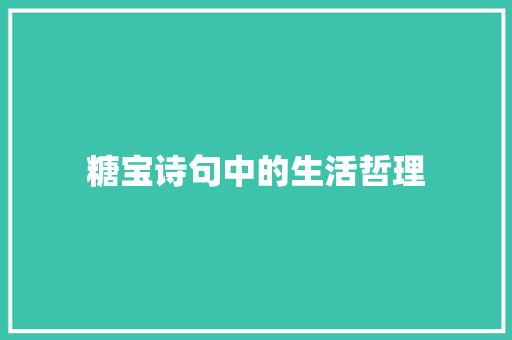 糖宝诗句中的生活哲理