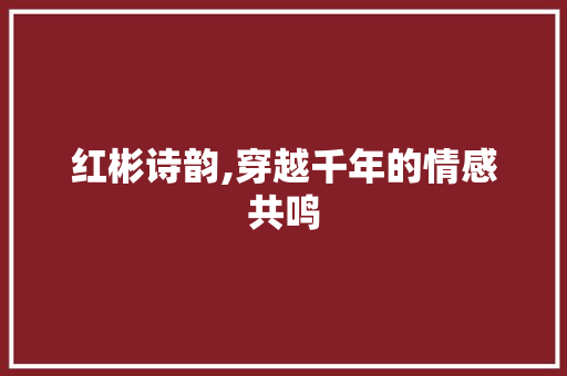 红彬诗韵,穿越千年的情感共鸣