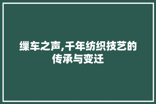 缫车之声,千年纺织技艺的传承与变迁