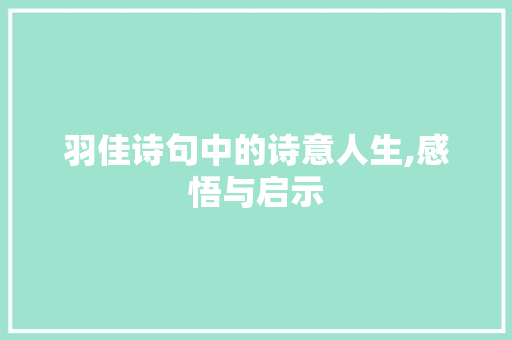 羽佳诗句中的诗意人生,感悟与启示