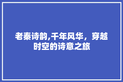 老秦诗韵,千年风华，穿越时空的诗意之旅
