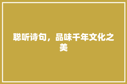 聪听诗句，品味千年文化之美