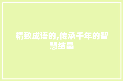 精致成语的,传承千年的智慧结晶 应用文