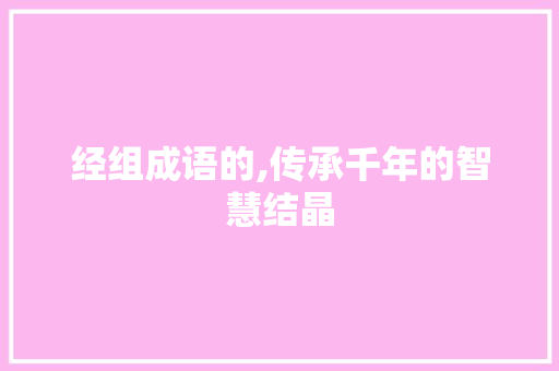 经组成语的,传承千年的智慧结晶 社交媒体