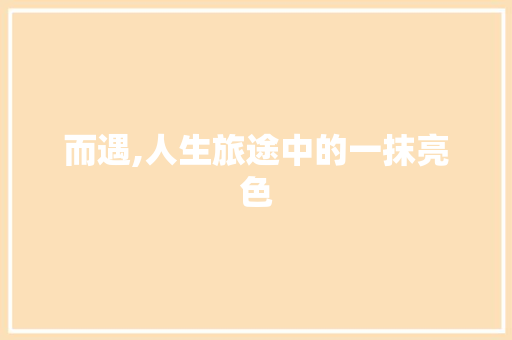 而遇,人生旅途中的一抹亮色 工作总结