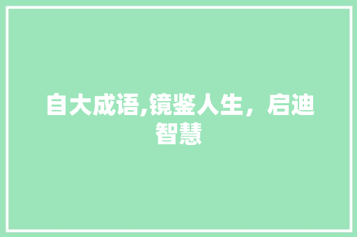 自大成语,镜鉴人生，启迪智慧