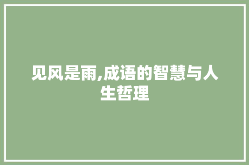 见风是雨,成语的智慧与人生哲理