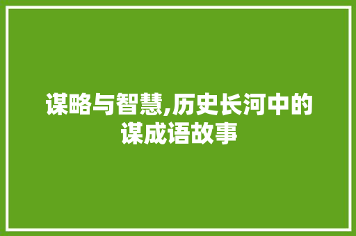 谋略与智慧,历史长河中的谋成语故事