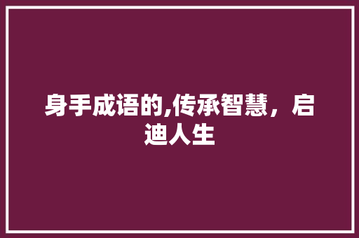 身手成语的,传承智慧，启迪人生
