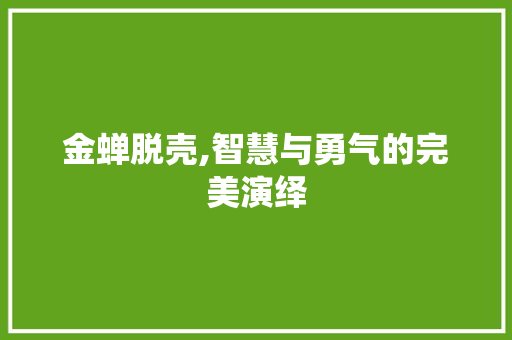金蝉脱壳,智慧与勇气的完美演绎