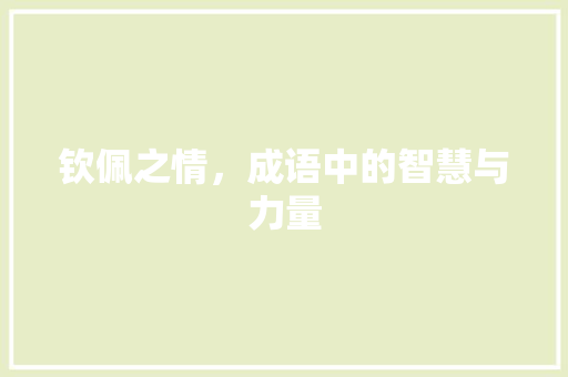钦佩之情，成语中的智慧与力量