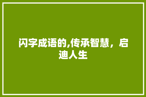 闪字成语的,传承智慧，启迪人生