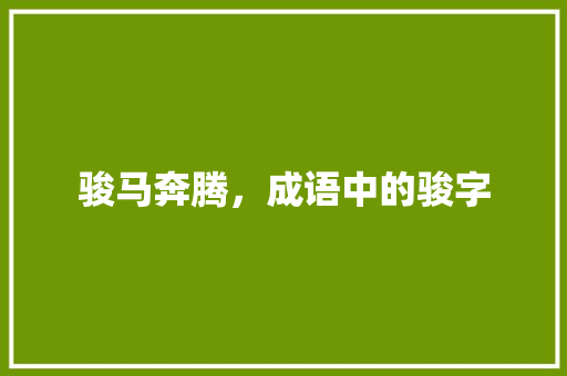 骏马奔腾，成语中的骏字 会议纪要