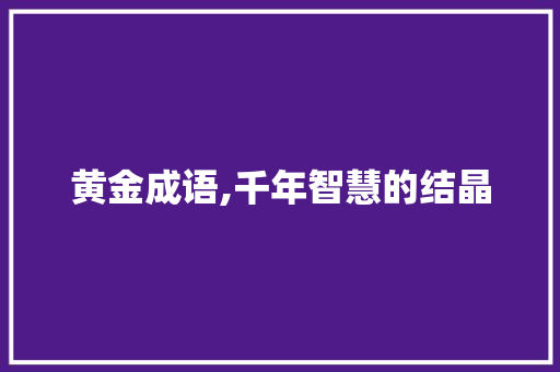 黄金成语,千年智慧的结晶