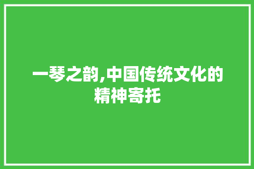 一琴之韵,中国传统文化的精神寄托