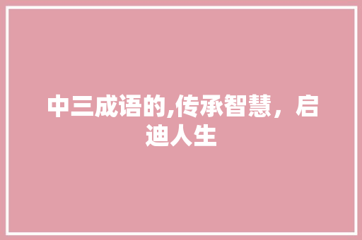 中三成语的,传承智慧，启迪人生