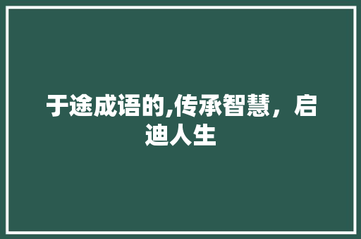 于途成语的,传承智慧，启迪人生