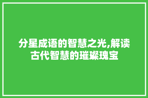 分星成语的智慧之光,解读古代智慧的璀璨瑰宝