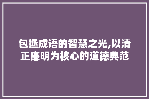 包拯成语的智慧之光,以清正廉明为核心的道德典范