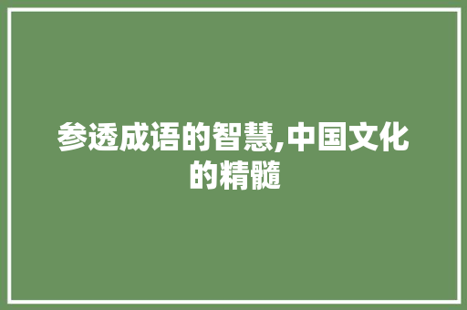 参透成语的智慧,中国文化的精髓