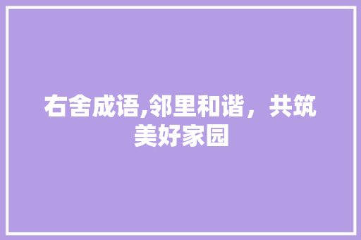 右舍成语,邻里和谐，共筑美好家园