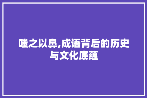 嗤之以鼻,成语背后的历史与文化底蕴