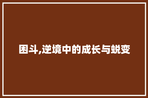 困斗,逆境中的成长与蜕变