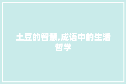 土豆的智慧,成语中的生活哲学