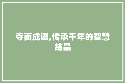 夺而成语,传承千年的智慧结晶