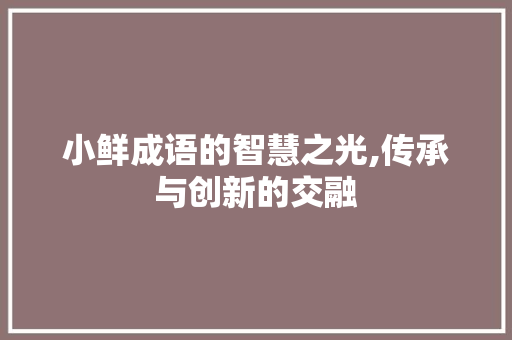 小鲜成语的智慧之光,传承与创新的交融