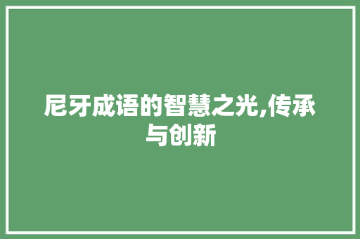 尼牙成语的智慧之光,传承与创新