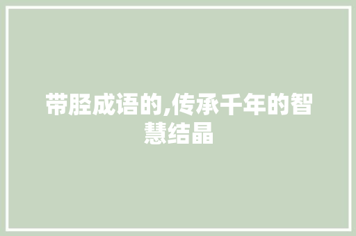 带胫成语的,传承千年的智慧结晶