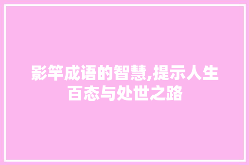 影竿成语的智慧,提示人生百态与处世之路