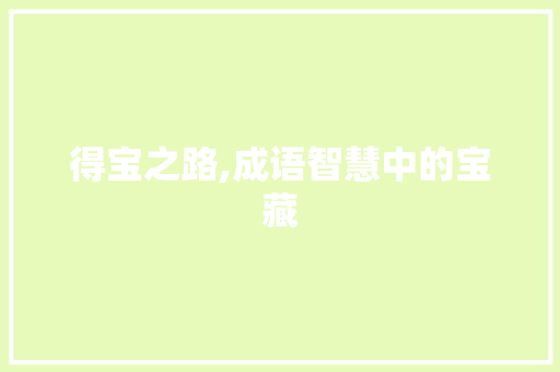 得宝之路,成语智慧中的宝藏