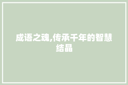 成语之魂,传承千年的智慧结晶